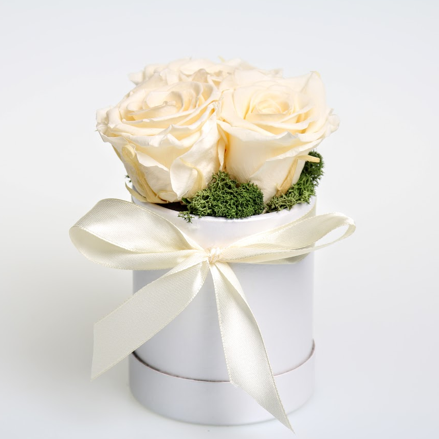 Box stabilizovaných ruží 3ks biely