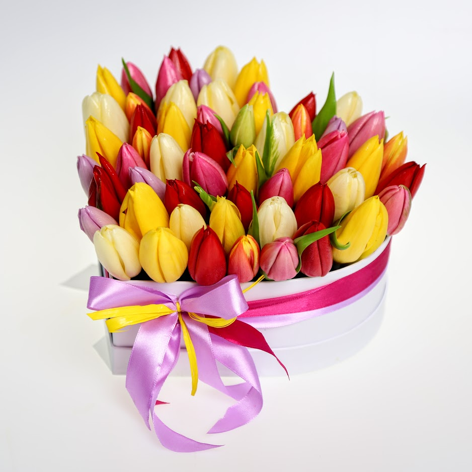 Box farebných tulipánov Rainbow Connection 50ks