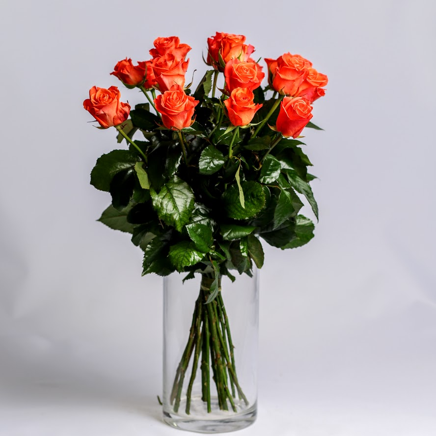 Ruža oranžová Standard 60cm 1ks