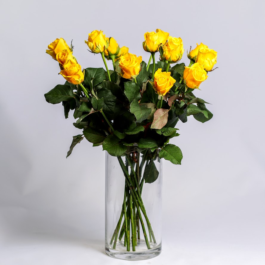 Ruža žltá Standard 60cm 1ks