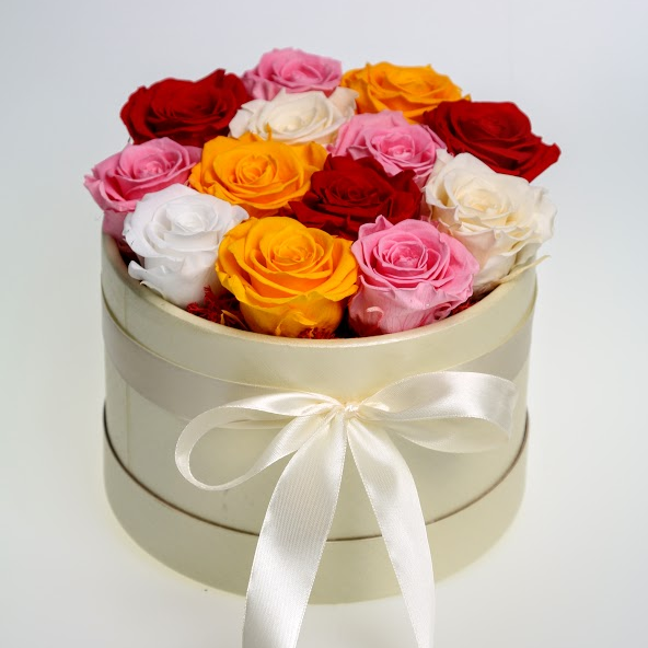 Box stabilizovaných ruží 13ks mix farieb