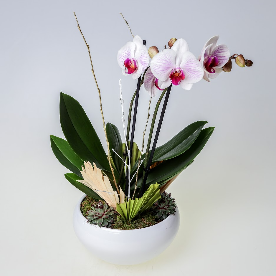 Aranžmán z orchideí 7