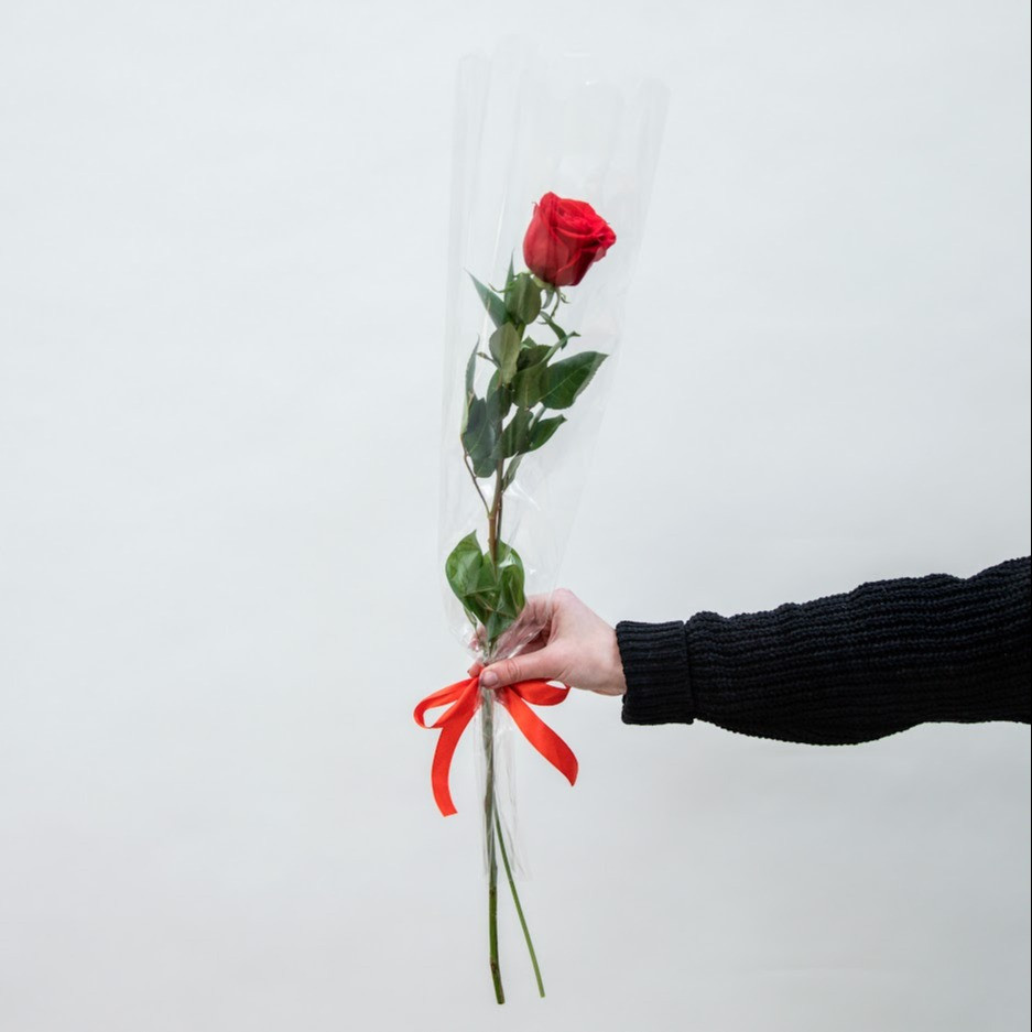 Ozdobená ruža v celofáne červená - 10ks