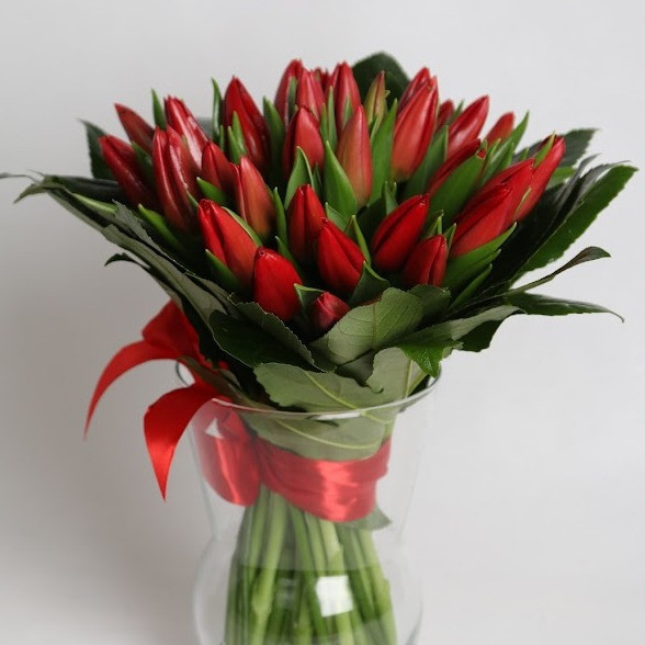Kytica Red tulips 3