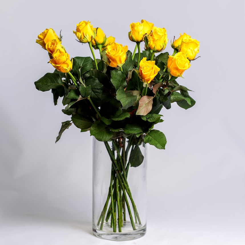 Ruža žltá Standard 70cm 1ks