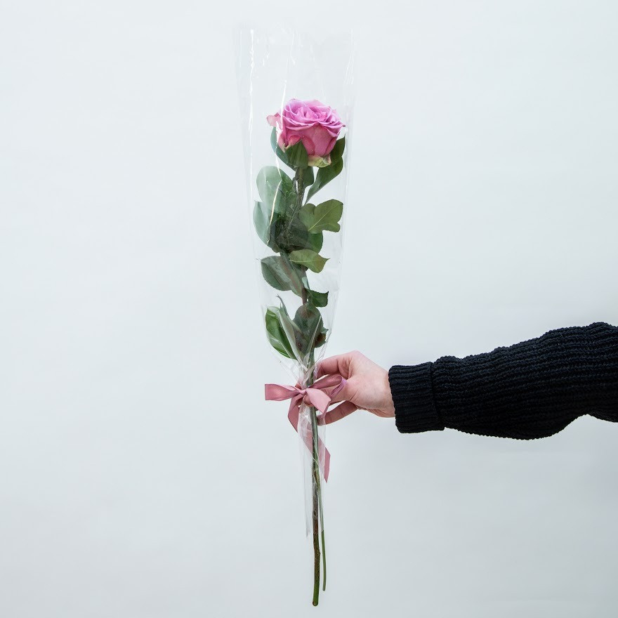 Ozdobená ruža v celofáne ružová - 10ks