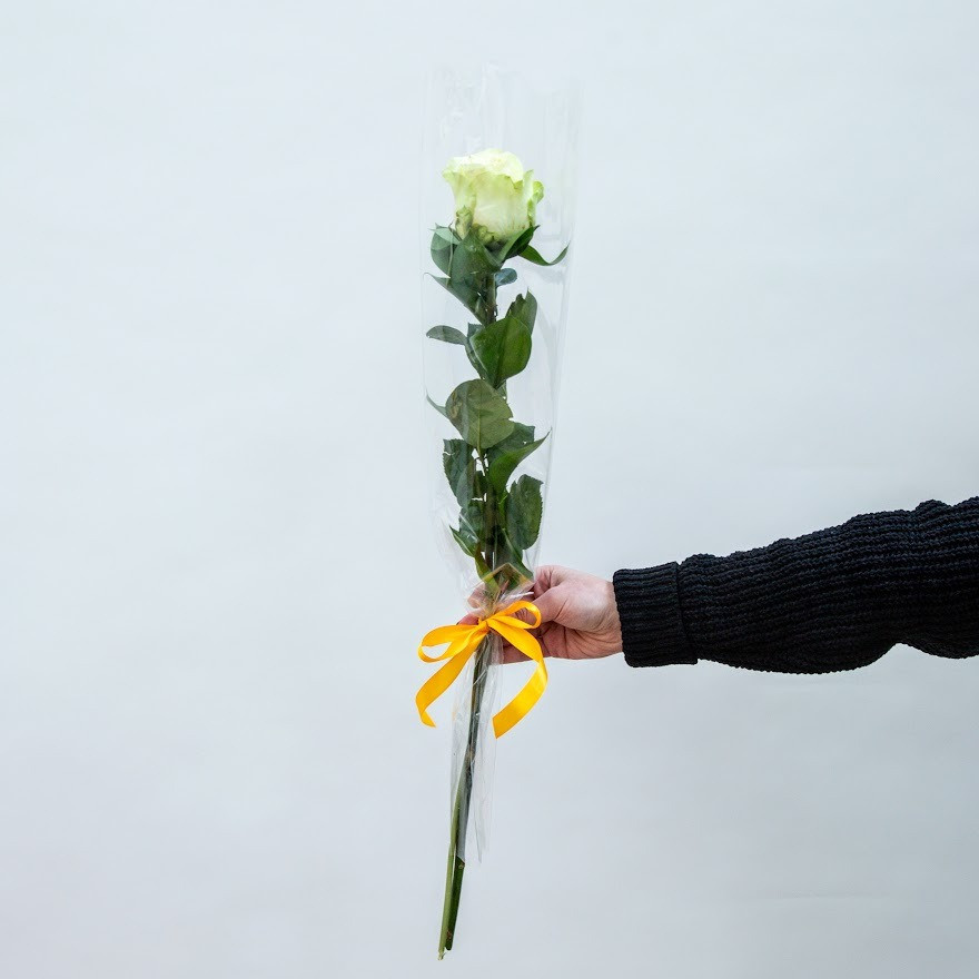 Ozdobená ruža v celofáne biela - 10ks