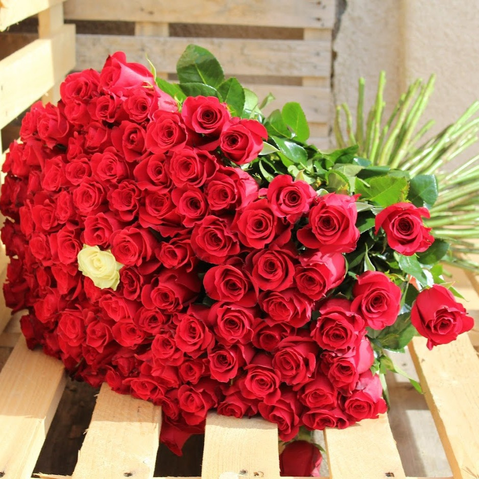 Kytica 101 červených ruží 60cm