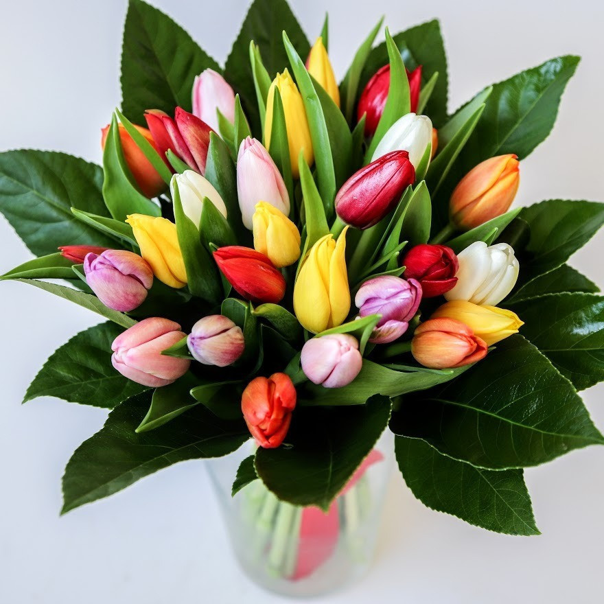 Kytica farebných tulipánov AKCIA