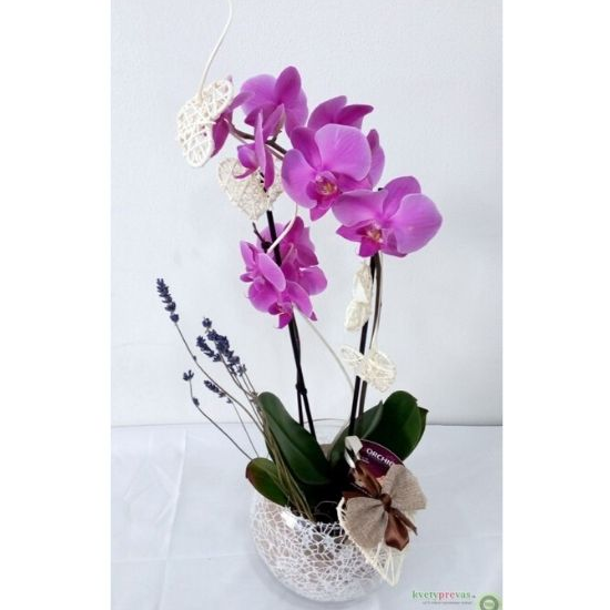 Orchidea s výzdobou 6
